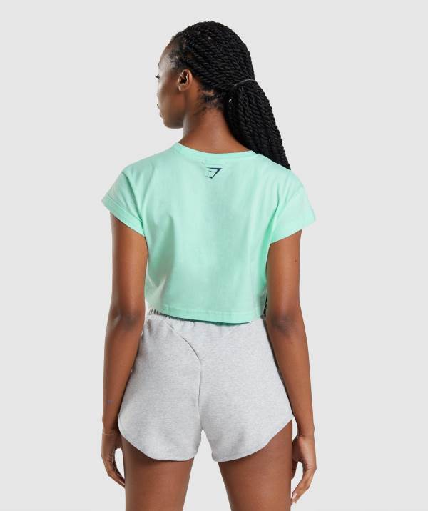 Damske Crop Top Gymshark Apollo Modre | MF2615083